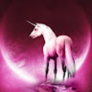 Meet your Posher, Savannah